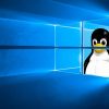 Linux-grabs-browser