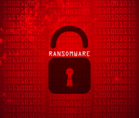 Ransomware criminals