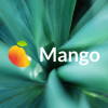 Mango Markets Hack