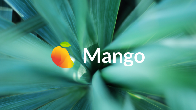 Mango Markets Hack