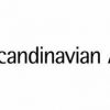 Cyberattack on Scandinavian Airlines